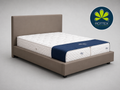 Rottex Virgo Futon ágykeret