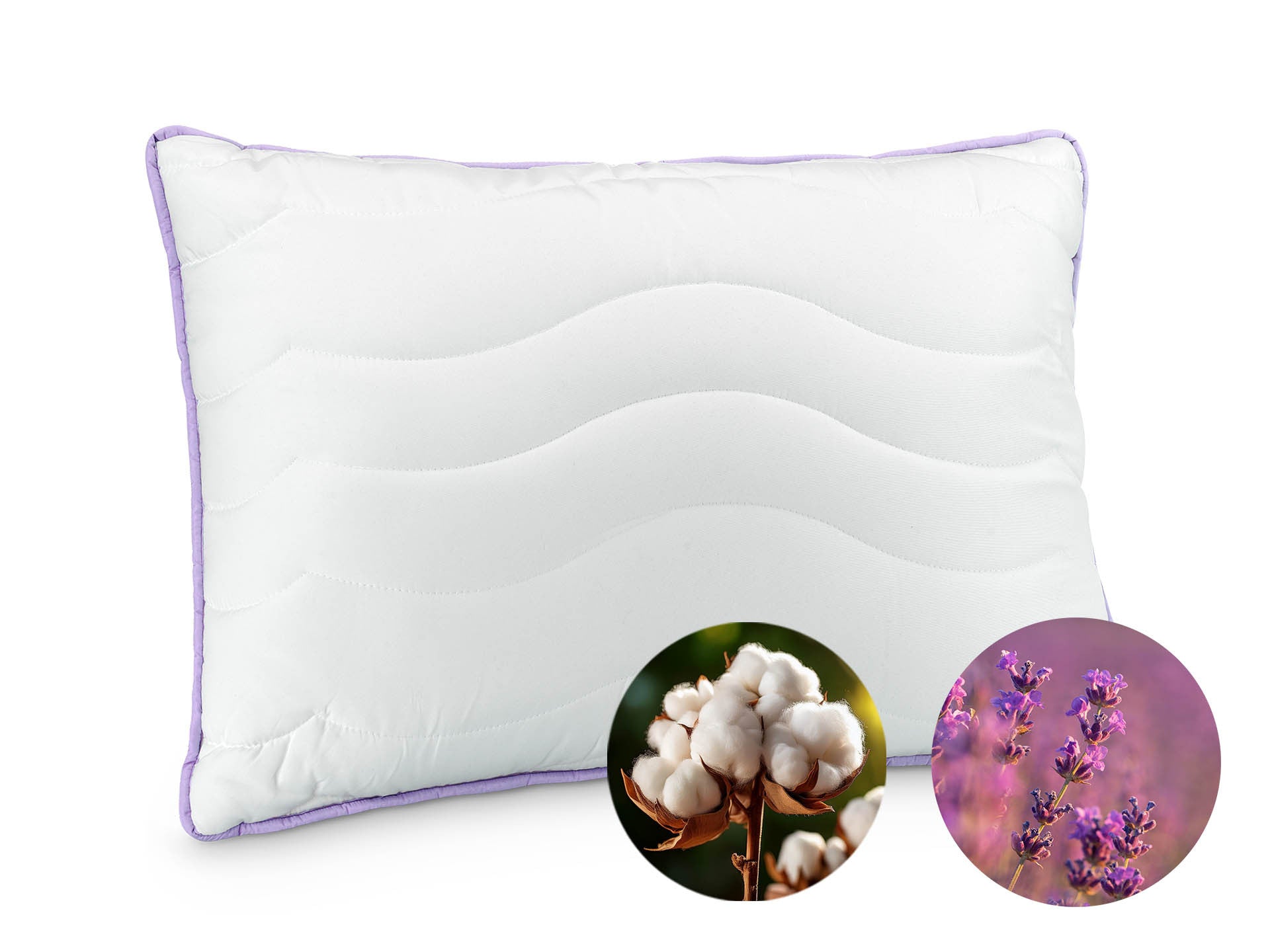 Dormeo Lavender Premium klasszikus párna 50x70 cm