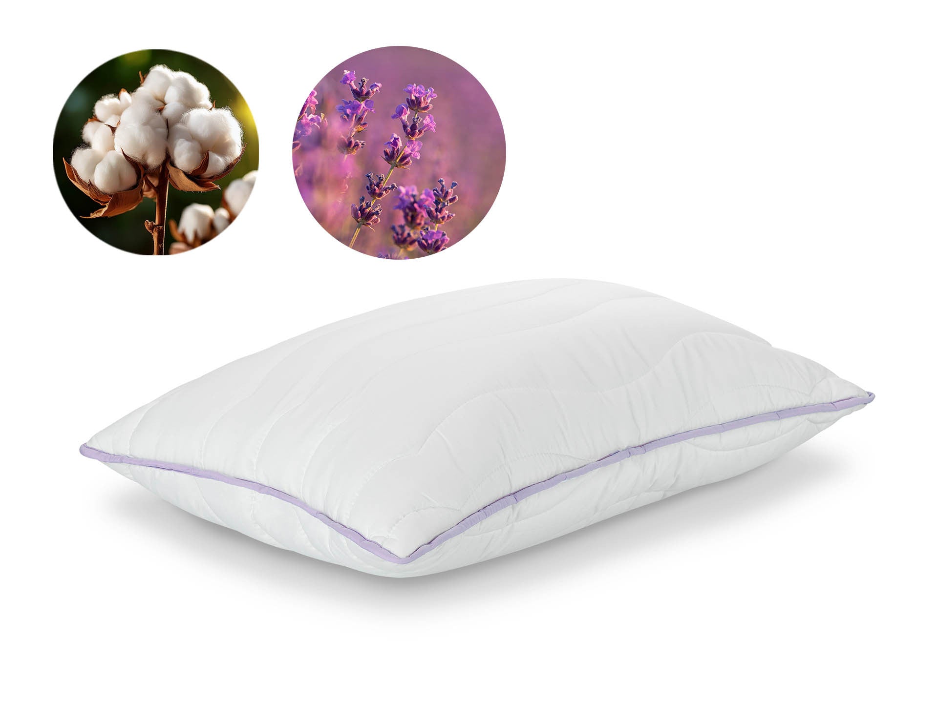 Dormeo Lavender Premium klasszikus párna 50x70 cm